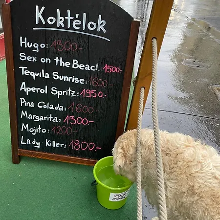 شقة Hanna&rita In The Centre Lonyay 42a 3rd Floor In The Back Yard بودابست